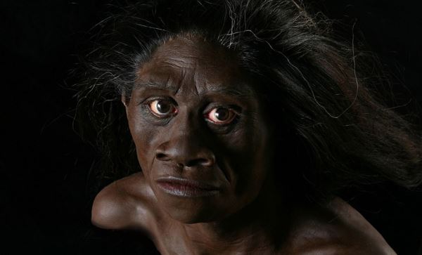 Древний предок человека Homo floresiensis оказался ещё меньше ростом, чем мы думали